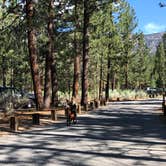 Review photo of Heart Bar Campground by Gina C., August 8, 2019