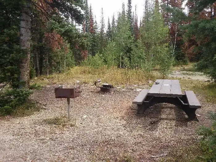 Camper-submitted photo at Ryan Park near Saratoga, WY