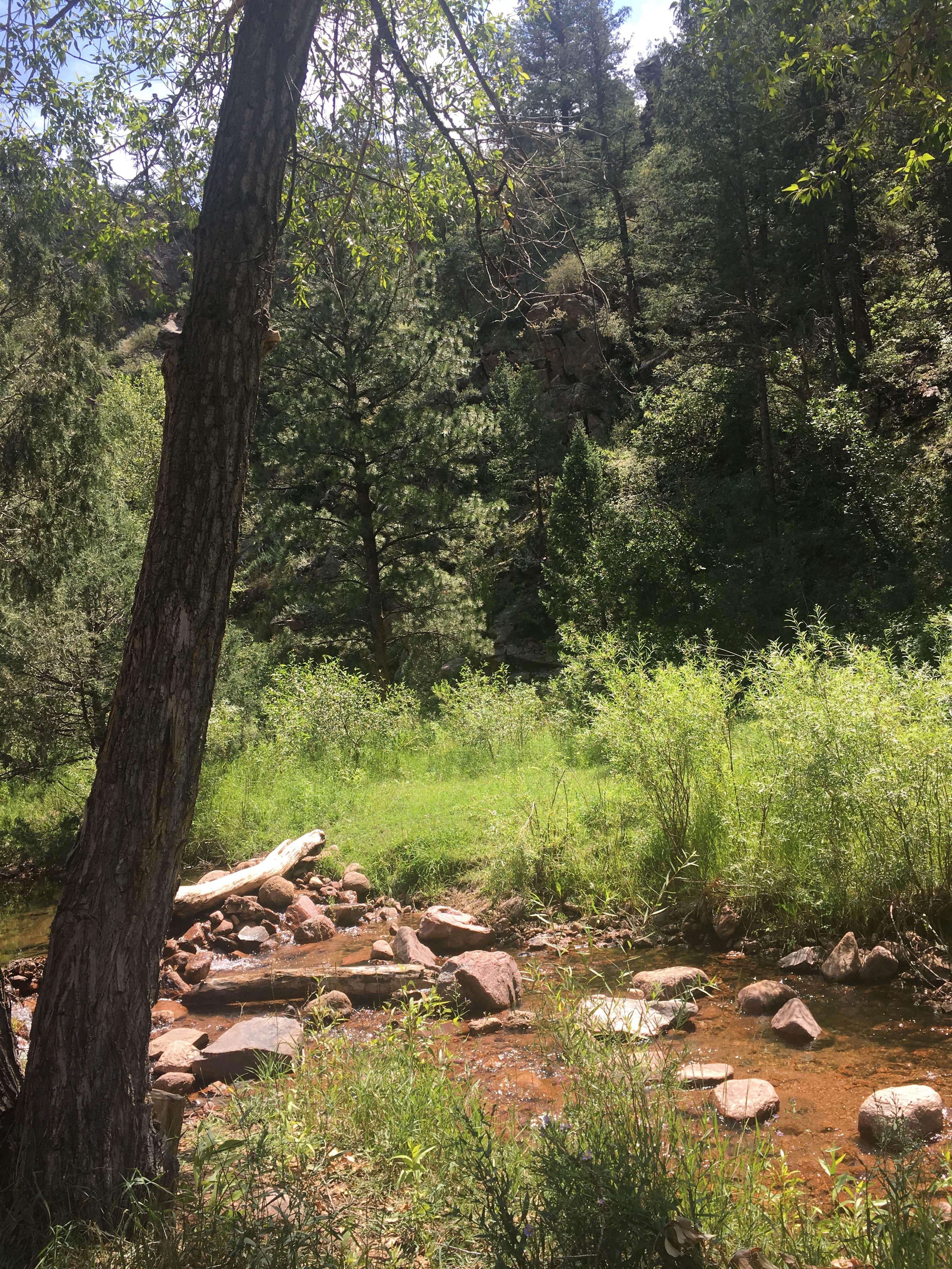 Camper-submitted photo at Phantom Canyon Road BLM Sites near Howard, CO