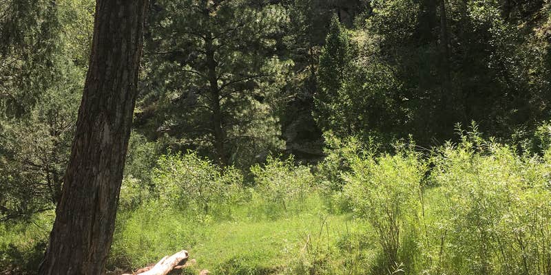 Camper submitted image from Phantom Canyon Road BLM Sites