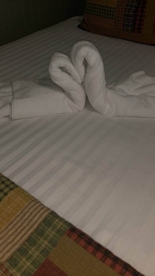 Lona T.'s photo of glamping accommodations at Lake Catherine State Park Campground near Hensley, AR