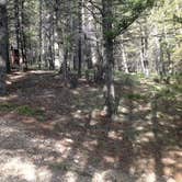 Review photo of East Creek Campground by Donna S., January 5, 2015