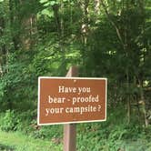Review photo of Elkmont Campground — Great Smoky Mountains National Park by Xenia E., August 8, 2019