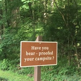 Review photo of Elkmont Campground — Great Smoky Mountains National Park by Xenia E., August 8, 2019