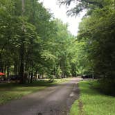 Review photo of Elkmont Campground — Great Smoky Mountains National Park by Xenia E., August 8, 2019