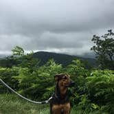 Review photo of Elkmont Campground — Great Smoky Mountains National Park by Xenia E., August 8, 2019