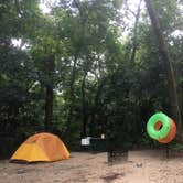 Review photo of Salt Springs Recreation Area by Xenia E., August 8, 2019