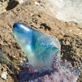 Review photo of Elliott Key — Biscayne National Park by Leah W., September 24, 2016