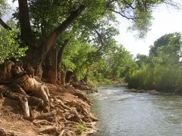 Camper-submitted photo at Watchman Campground — Zion National Park near Rockville, UT
