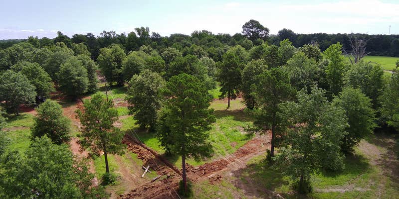 Camper submitted image from Trinity Acres RV and Tiny home