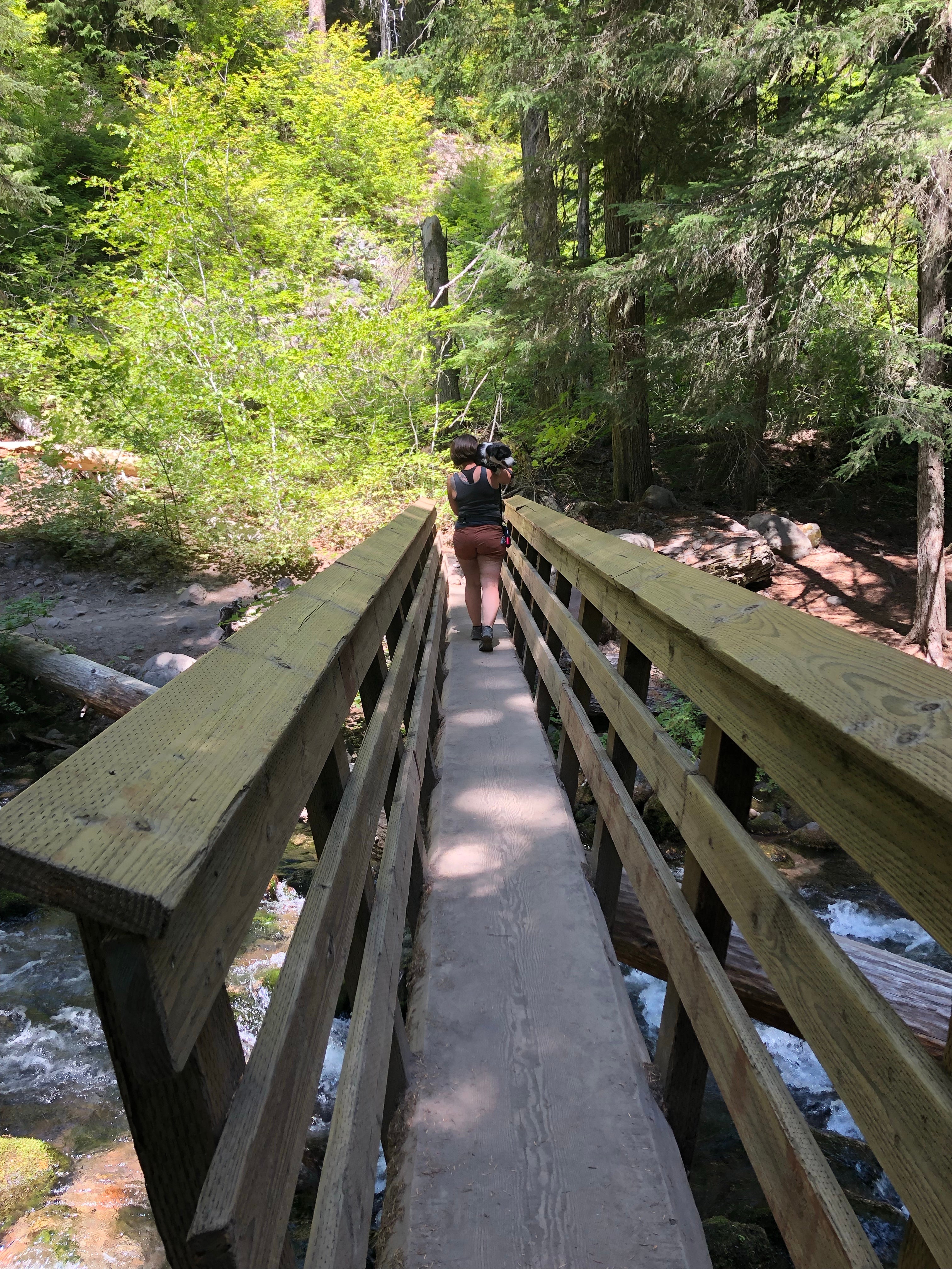 Bridge on trail