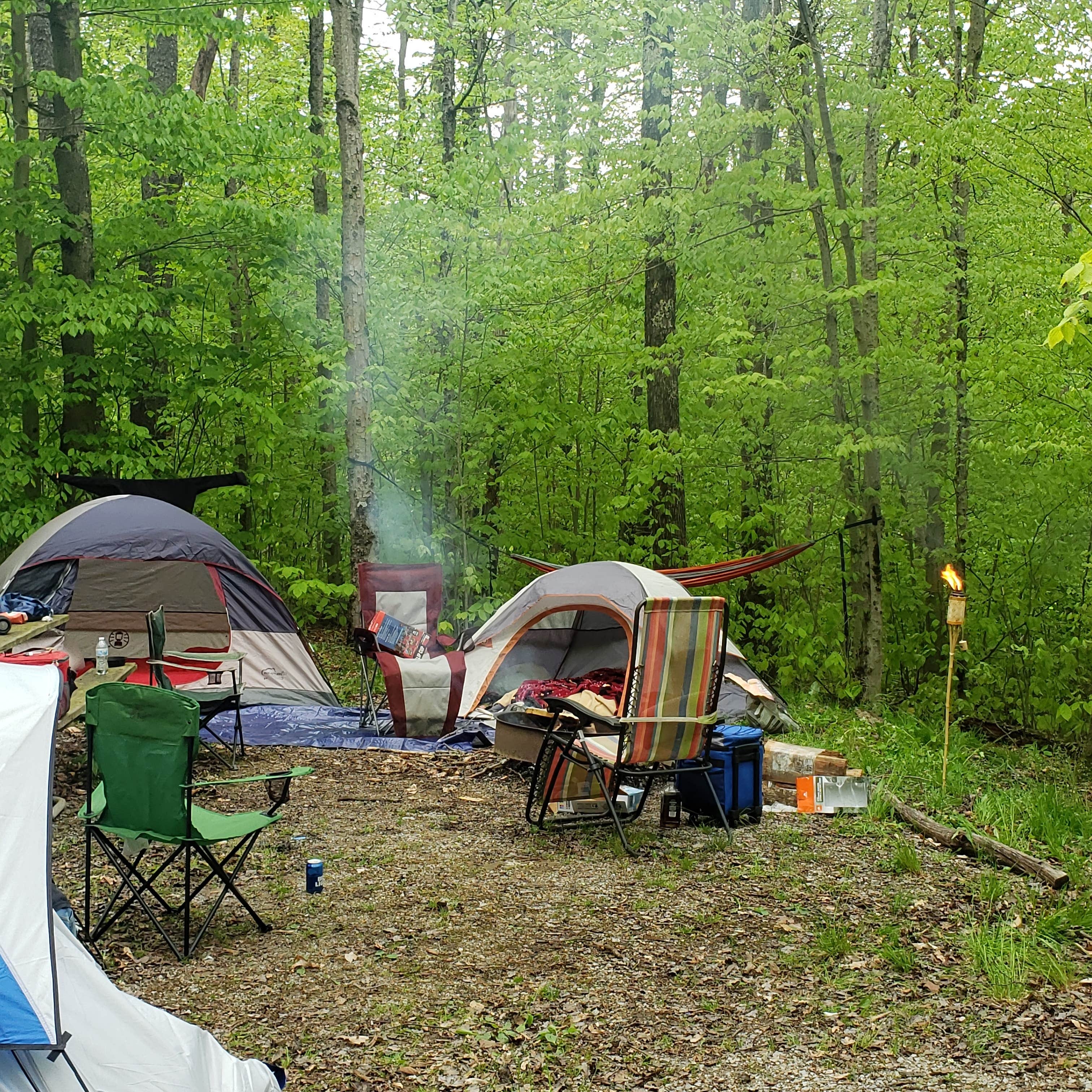 Brandon M.'s photo at Spruce Knob Lake Campground near Whitmer, WV
