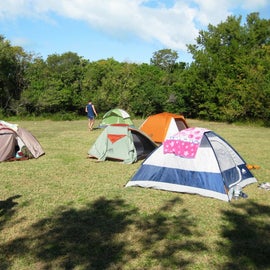 Drying out our tents after all the rain.  This is the large group site where we had 18 people