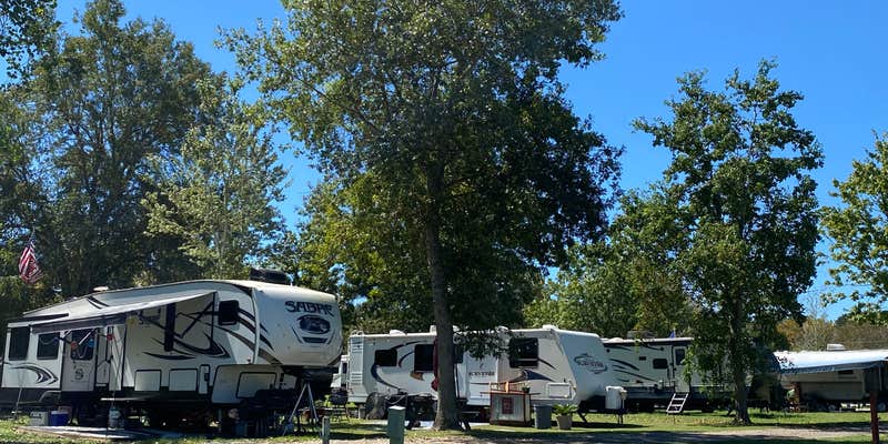Camper submitted image from Rocks Pond Campground & Marina