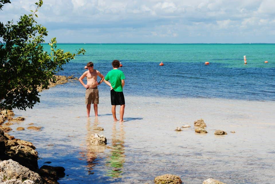 Camper submitted image from Elliott Key — Biscayne National Park - 4