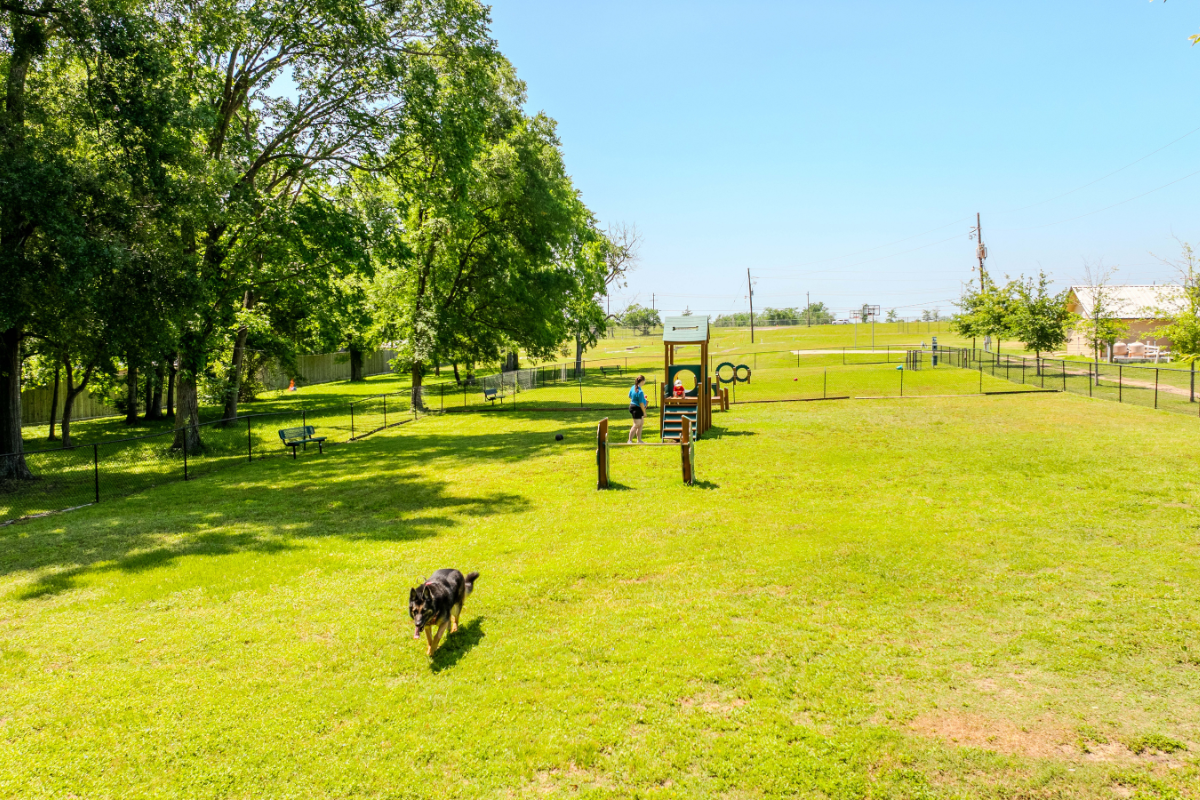 Julie S.'s photo of camping with pets at Water's Edge on Lake Conroe near Sam Houston National Forest