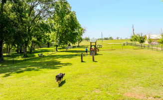 Julie S.'s photo of camping with pets at Water's Edge on Lake Conroe near Coldspring, TX