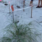 Review photo of Hunting Island State Park Campground by Bill C., August 8, 2019