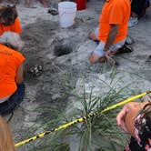 Review photo of Hunting Island State Park Campground by Bill C., August 8, 2019