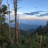 Review photo of Mount Mitchell State Park Campground by Erin D., August 8, 2019