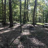 Review photo of Mammoth Cave Campground — Mammoth Cave National Park by Donica B., August 8, 2019