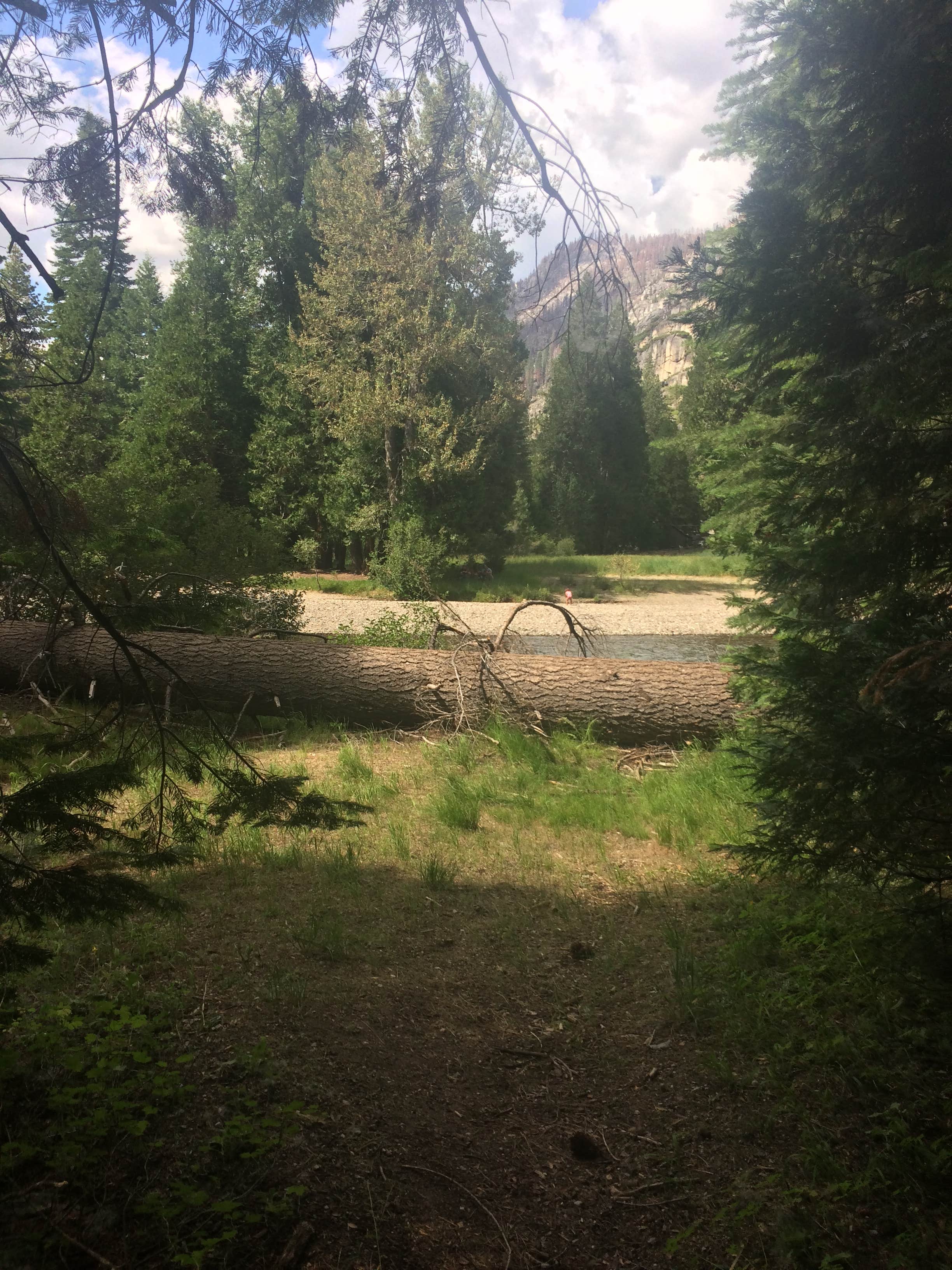 Camper-submitted photo at Kennedy Meadows Campground near Onyx, CA