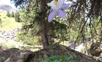 Camping near Guanella Pass Scenic Byway: Clear Lake, Silver Plume, Colorado