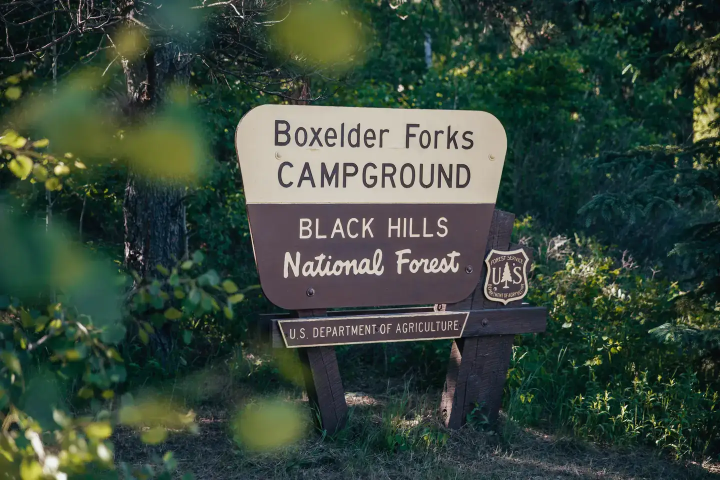 Camper-submitted photo at Boxelder Forks Campground — Black Hills National Forest near Blackhawk, SD