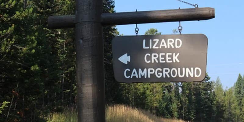 Camper submitted image from Lizard Creek Campground — Grand Teton National Park
