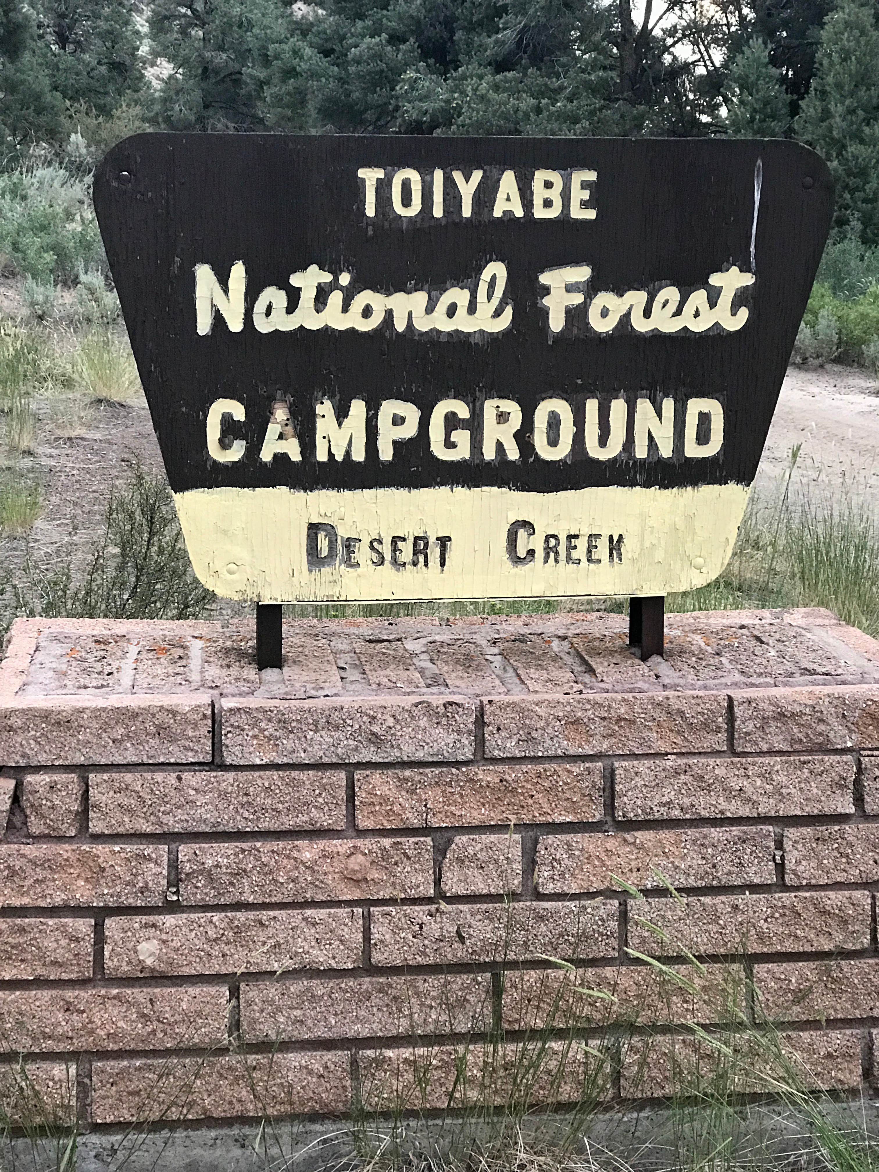 Camper-submitted photo at Desert Creek Campground near Wellington, NV