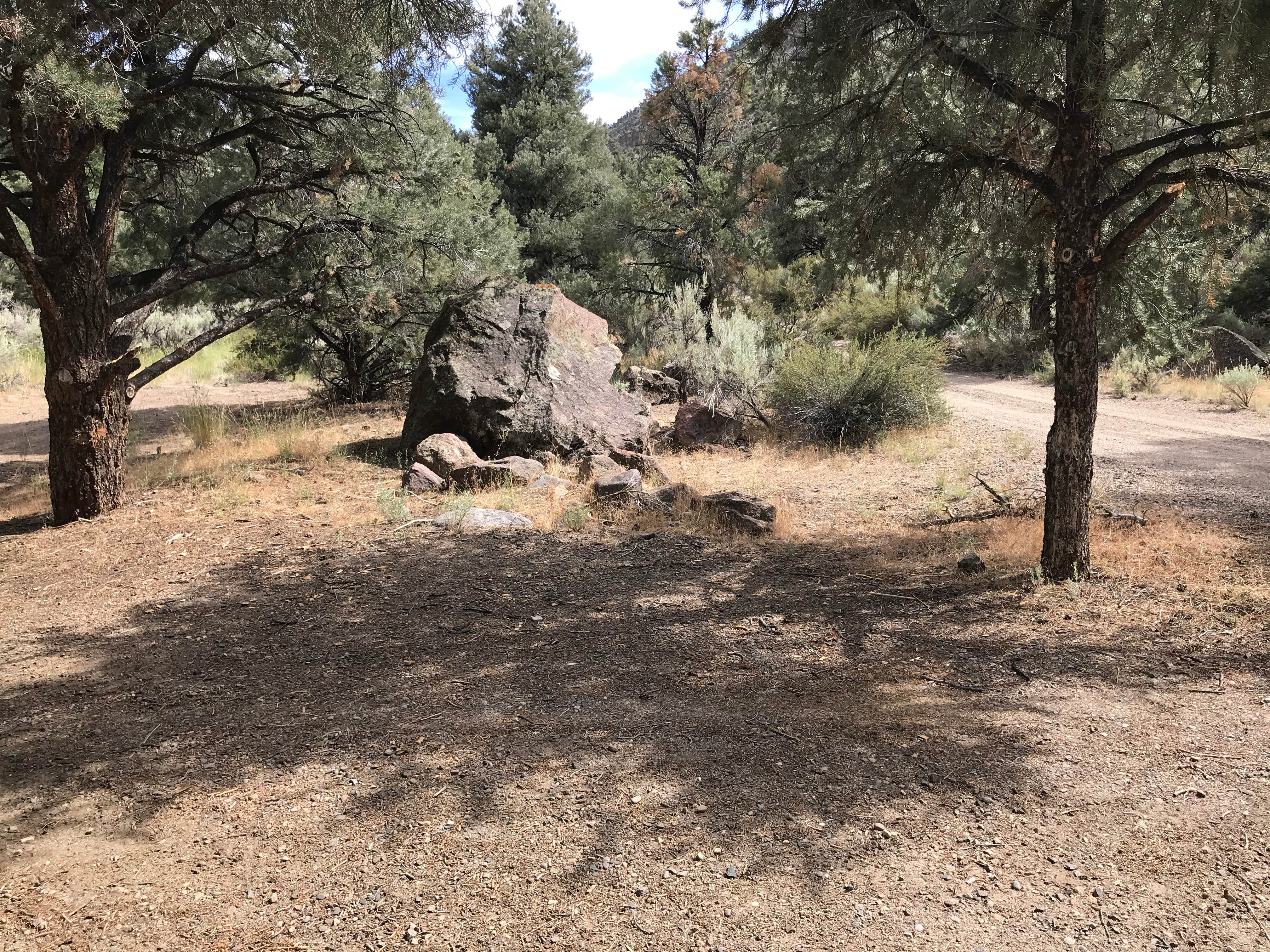Camper-submitted photo at Desert Creek Campground near Wellington, NV
