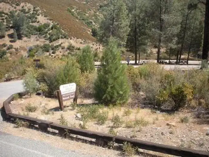 Camper-submitted photo at Gray Pine Group Campground near Stonyford, CA