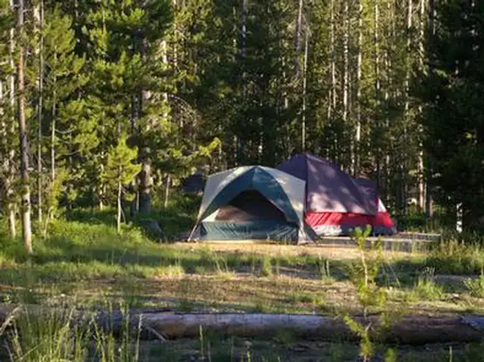 Camper-submitted photo at Point Campground near Sun Valley, ID