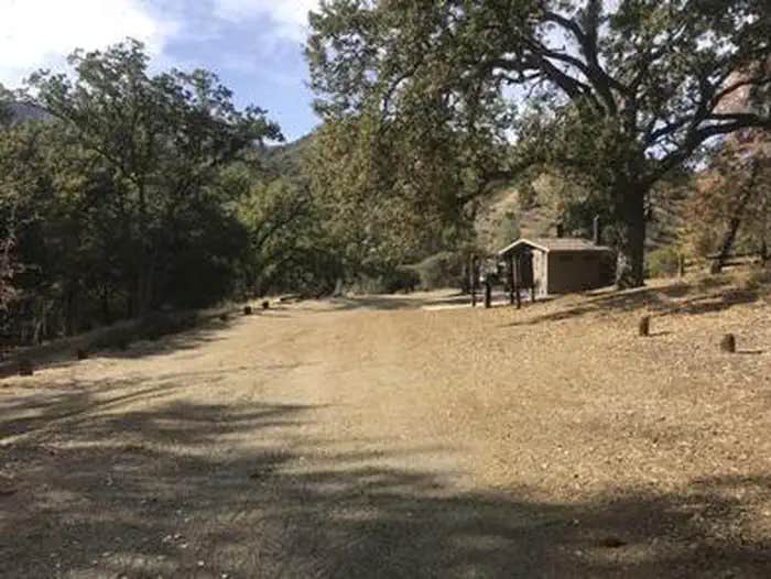 Camper submitted image from Davy Brown Campground - 1