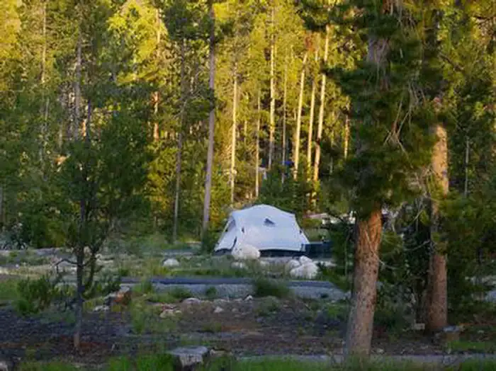 Camper-submitted photo at Point Campground near Sun Valley, ID