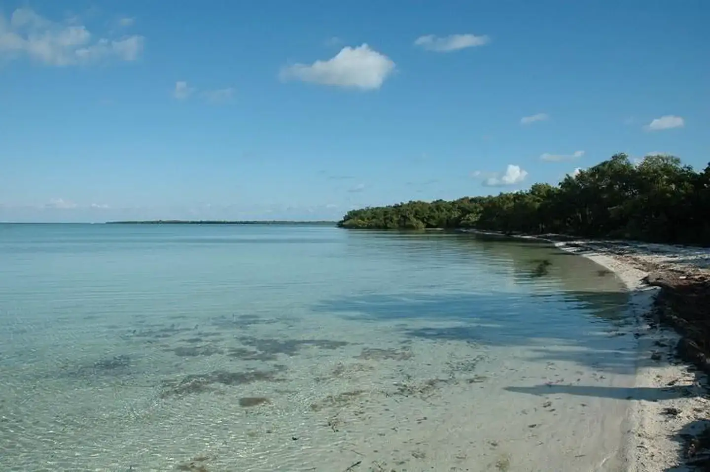 Camper-submitted photo at Elliott Key — Biscayne National Park near Biscayne National Park