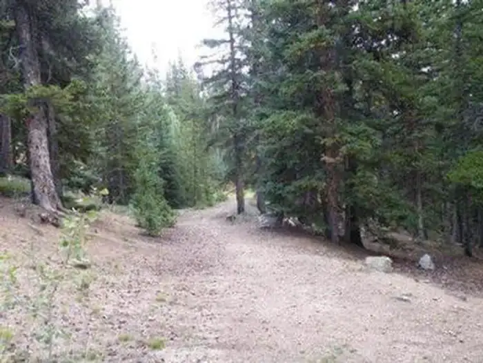 Camper-submitted photo at Echo Lake Campground near Evergreen, CO