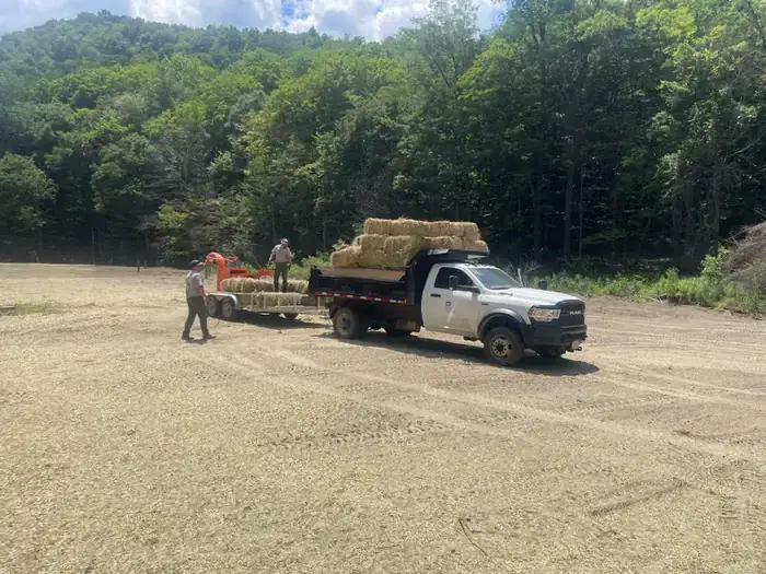 Camper-submitted photo at Winhall Brook Camping Area - TEMPORARILY CLOSED near Bennington, VT
