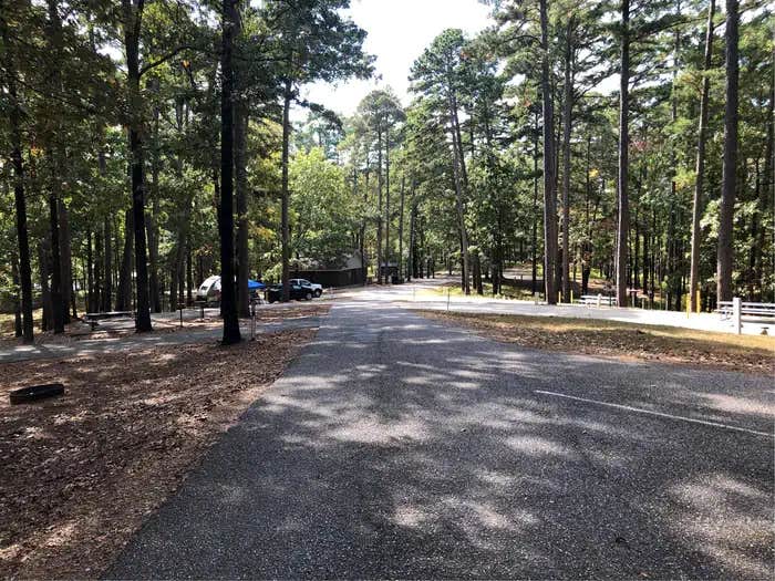 Camper submitted image from Edgewood - 1
