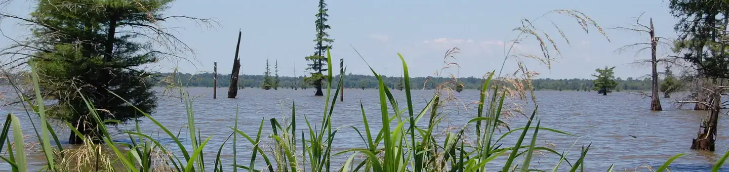 Camper-submitted photo at Cottonshed Park (AR) COE near Millwood Lake