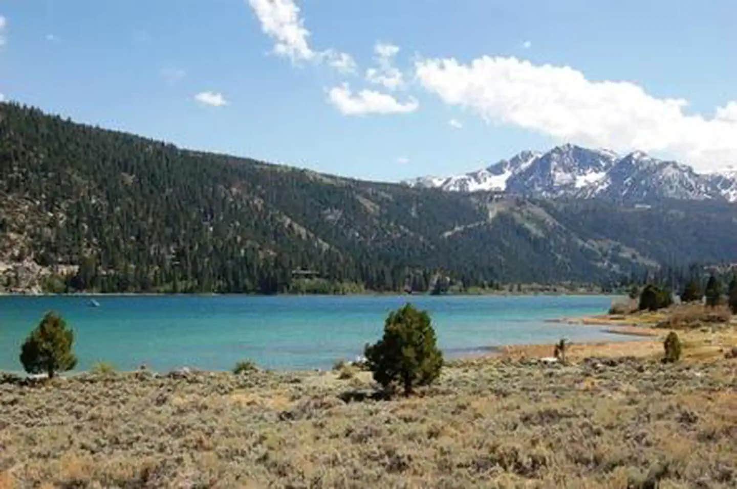 Camper submitted image from Inyo National Forest Oh Ridge Campground - 1