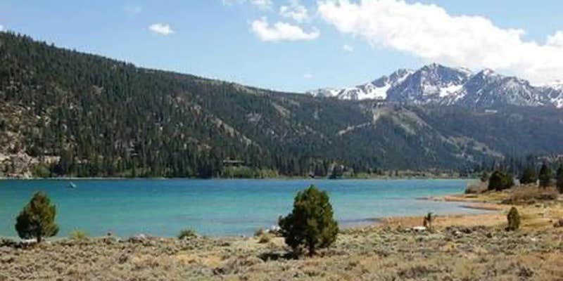 Camper submitted image from Inyo National Forest Oh Ridge Campground