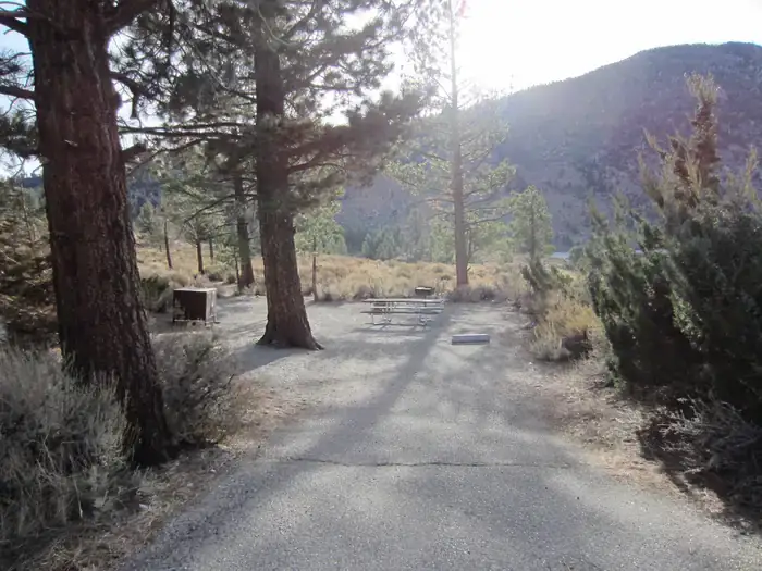 Camper-submitted photo at Inyo National Forest Oh Ridge Campground near Mammoth Lakes, CA