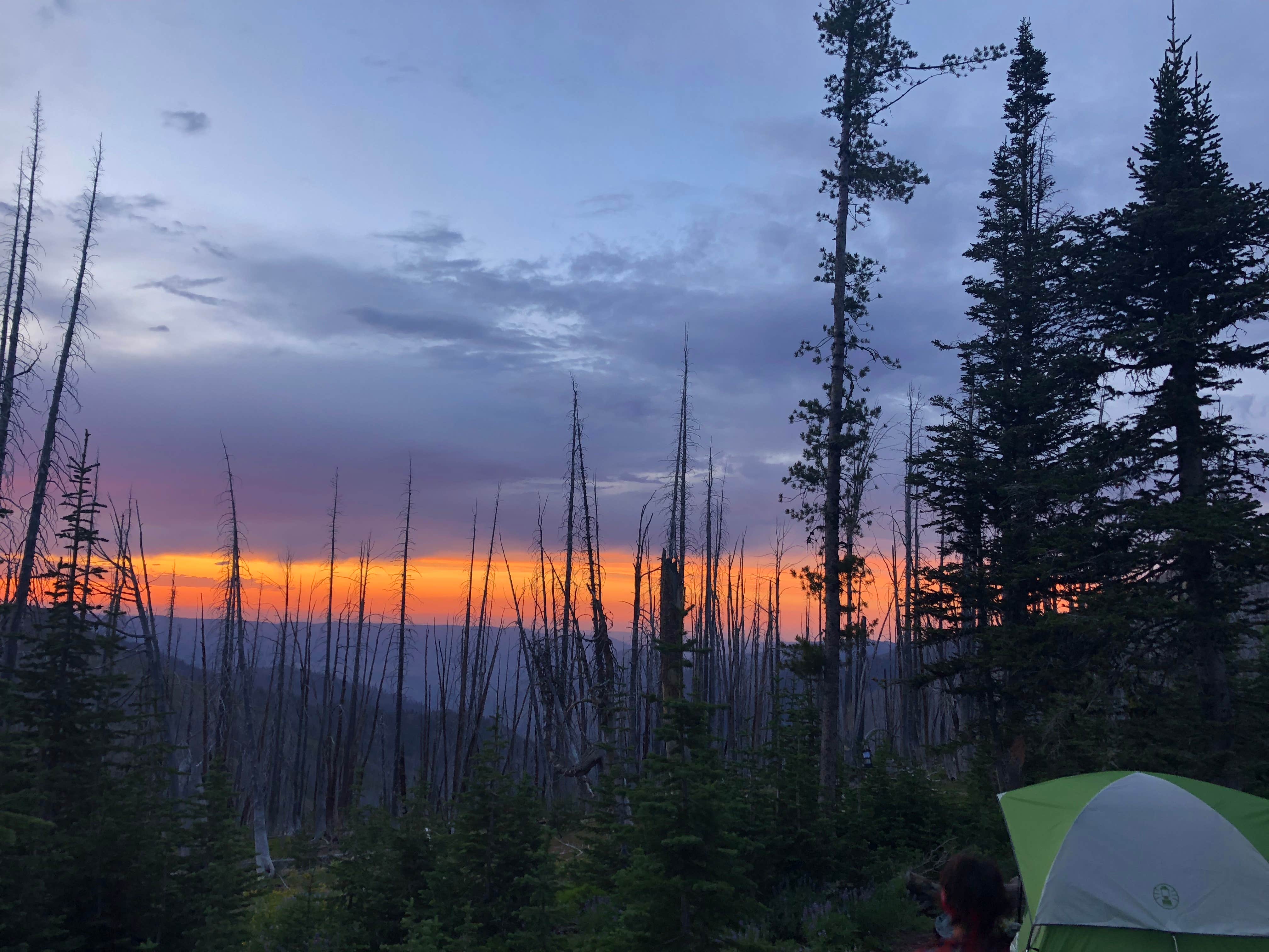 Max L.'s photo of tent camping at Windy Saddle Trailhead Campground near Oxbow, OR