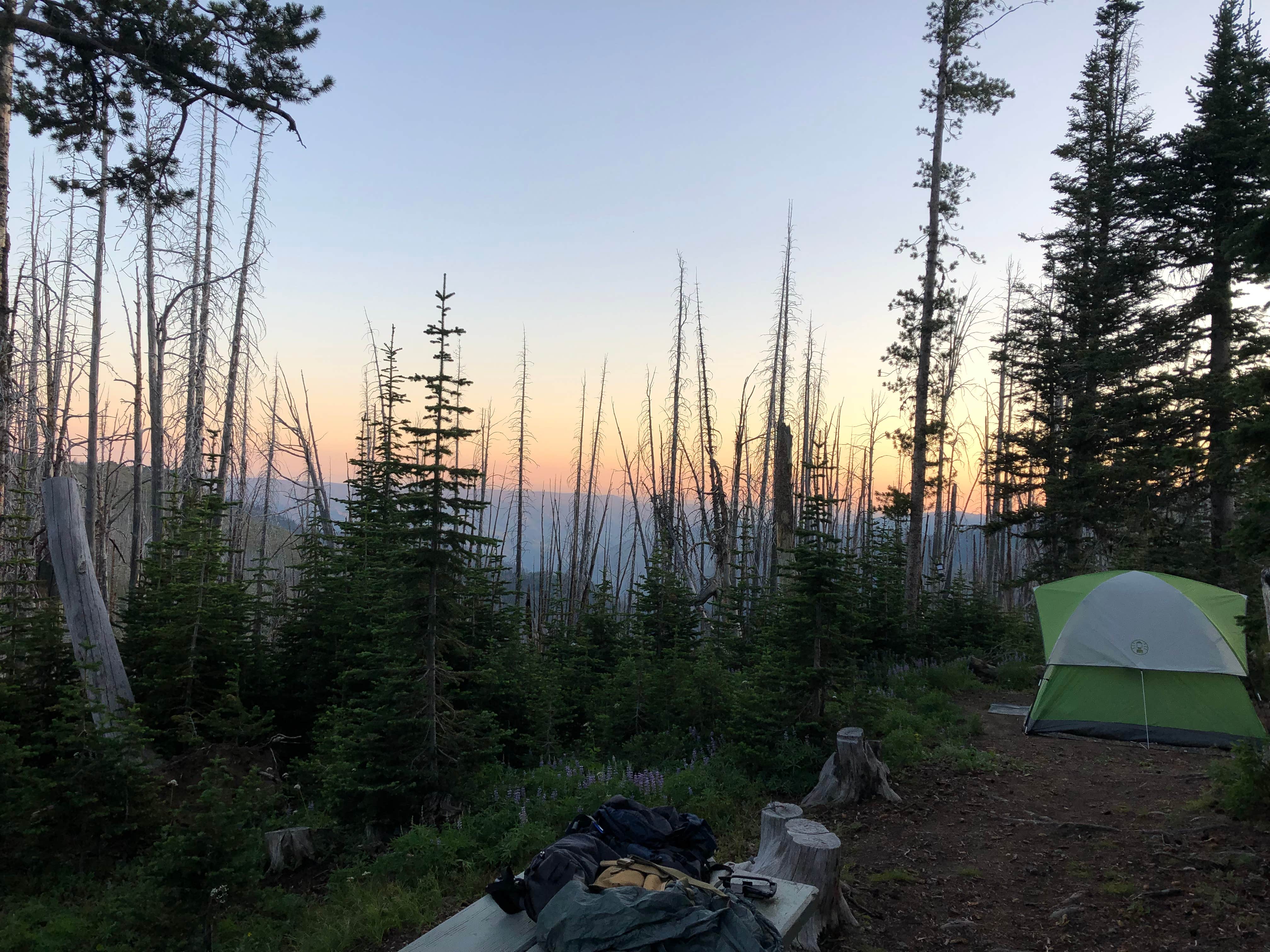 Camper submitted image from Windy Saddle Trailhead Campground - 4