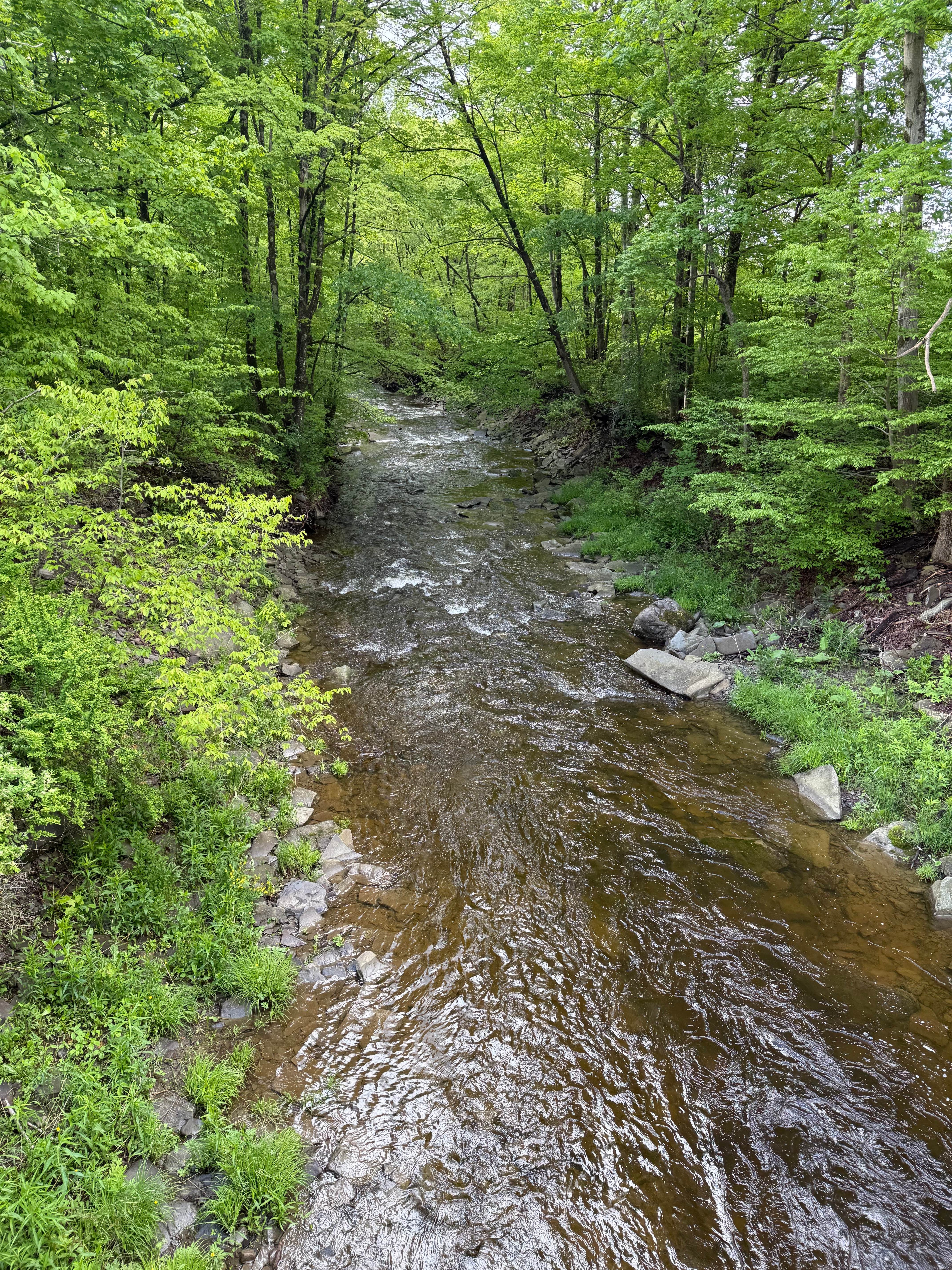 Camper-submitted photo at Live The Outdoors LLC near Harford, NY