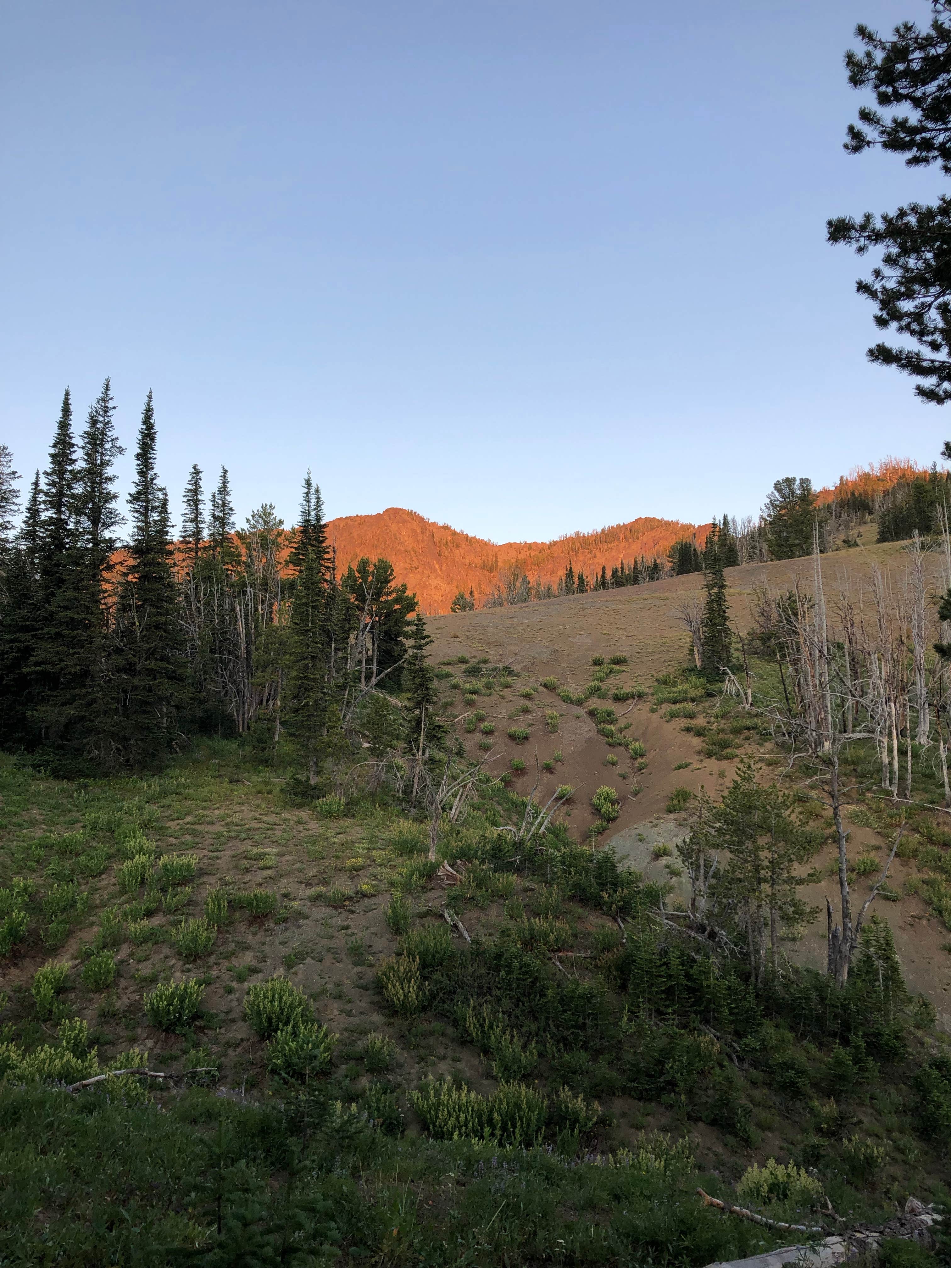 Camper-submitted photo at Windy Saddle Trailhead Campground near Pollock, ID