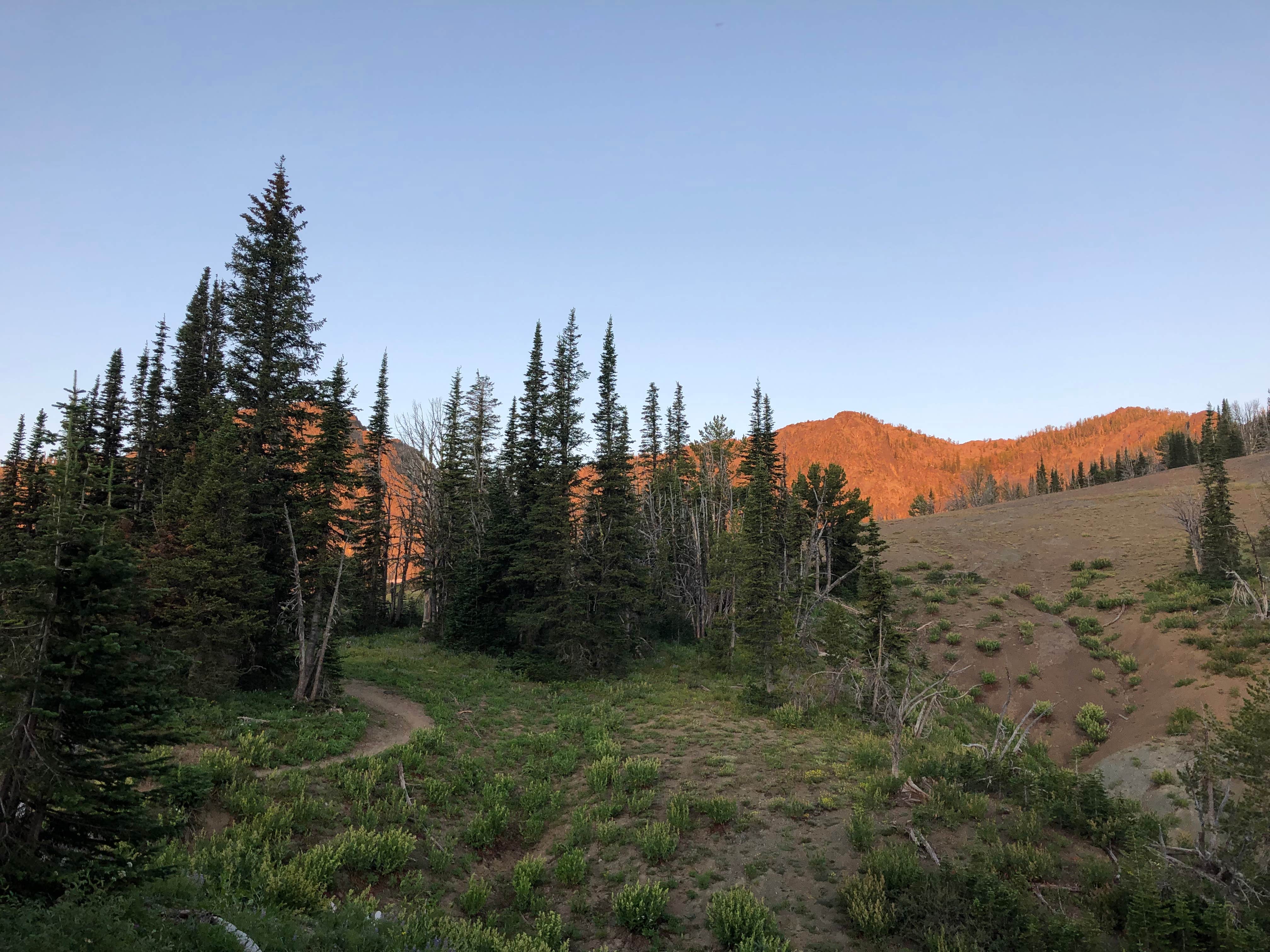 Camper-submitted photo at Windy Saddle Trailhead Campground near Pollock, ID
