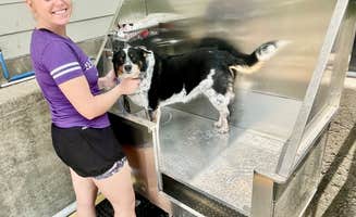 Moss R.'s photo of camping with pets at The Farmstead RV Park near Rowlett, TX