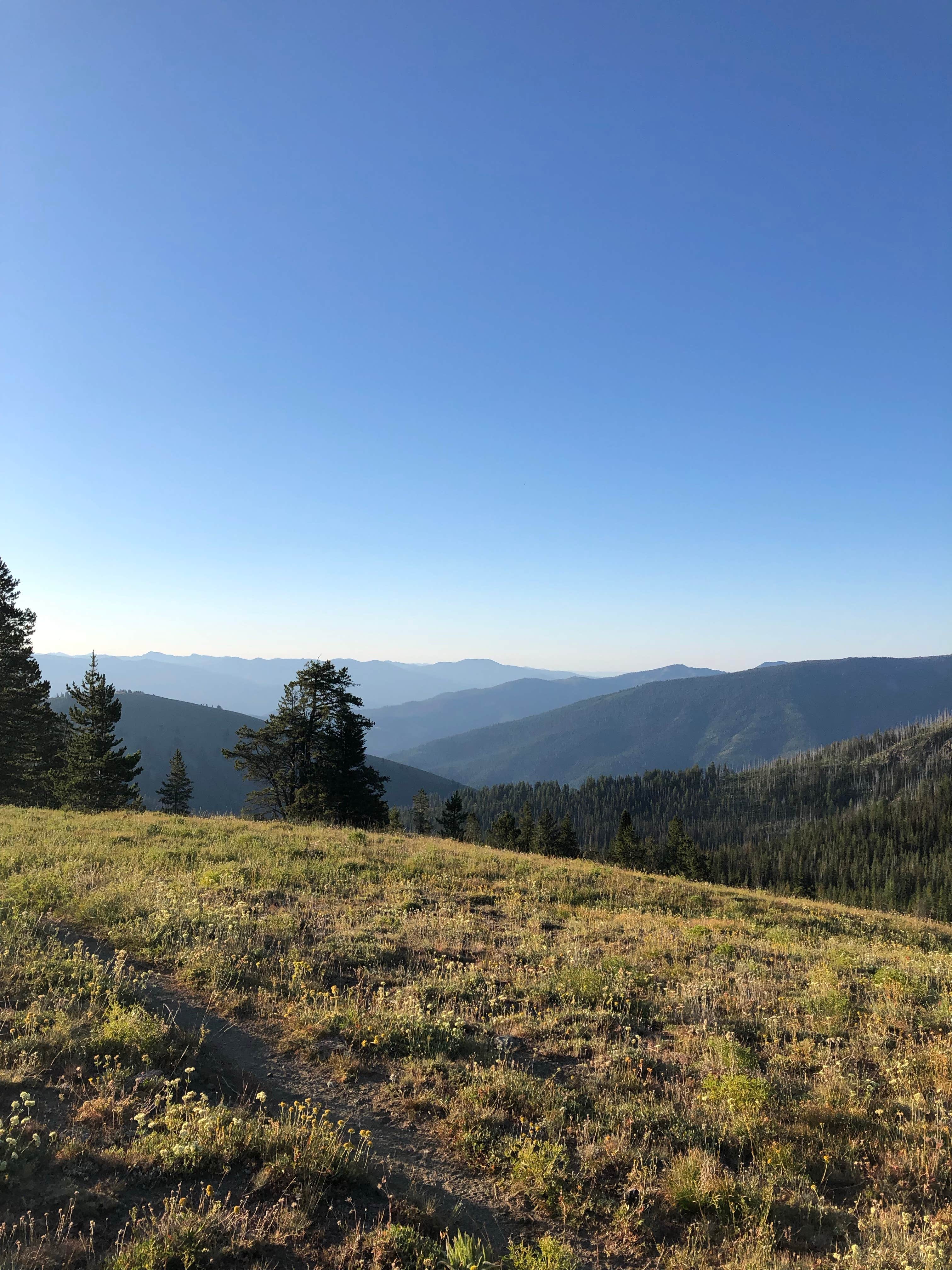 Camper-submitted photo at Windy Saddle Trailhead Campground near Pollock, ID